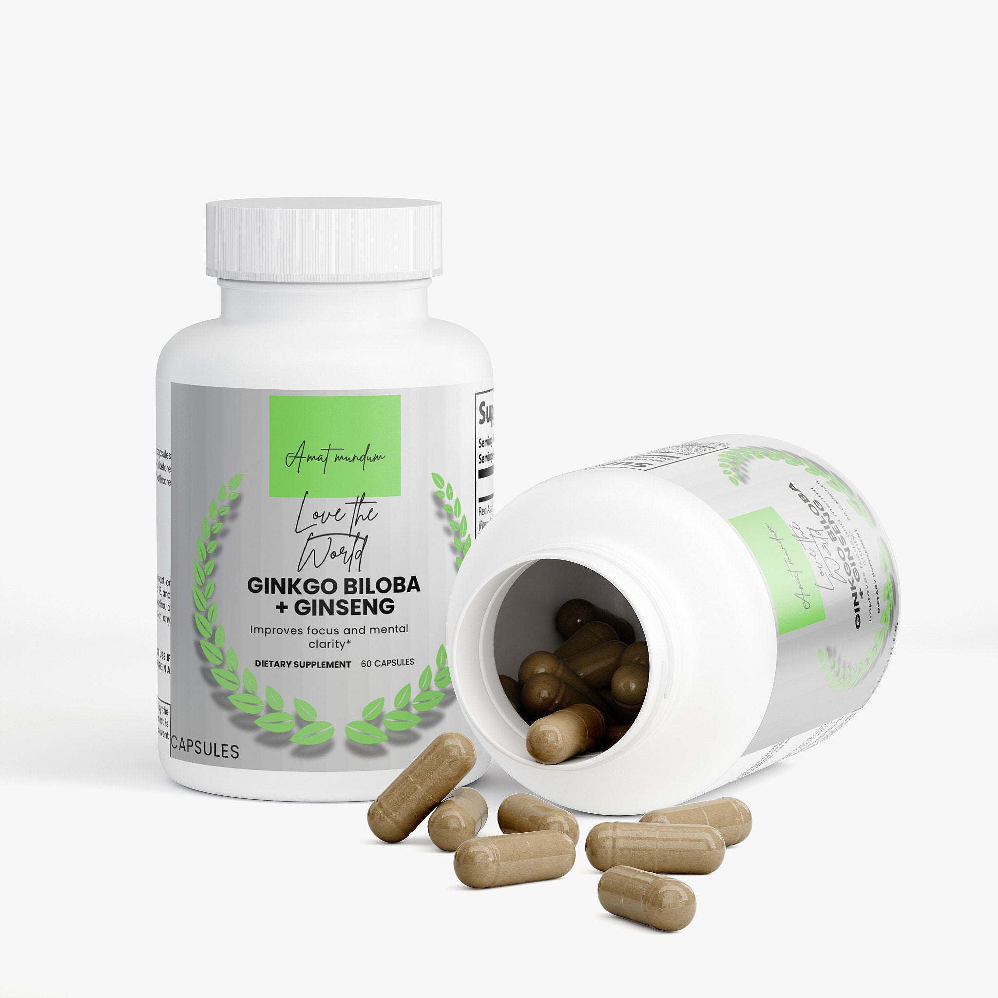 Ginkgo Biloba + Ginseng